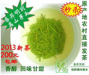  [上市]绿茶 信阳毛尖 新茶叶 春昇明前高山芽头250g 自产自销
