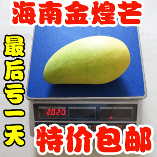  海南芒果 新鲜水果 青皮芒果王金煌芒 汁甜味正 8斤起包邮