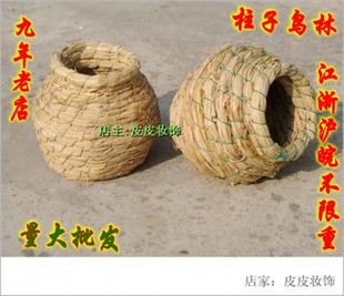 【皇冠信誉 】文鸟 七彩 文鸟 珍珠鸟十<em>姐妹</em> 葫