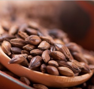  大麦茶原味 烘焙型 出口韩国 大麦茶特级袋泡茶 100克 只要2.8元