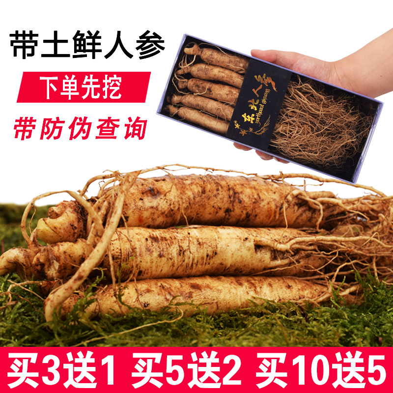 Daily specials ginseng Changbai Ginseng White Ginseng Gift box Paojiu Ginseng root Wild ginseng Preservation Senatein the Traditional nourishing food , Ginseng tonic , Ginseng/Garden ginseng category - from Buy2taobao.com to provide professional Taobao agent buy service