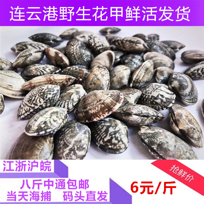 今日海鲜 新鲜 天然鲜活花蛤干蛤蜊蚬子杂色蛤花甲蛤蛎花蛤肉一斤在类目 水产肉类/新鲜蔬果/熟食, 海鲜/水产品/制品, 贝类, 贝类制品中 - 来自Buy2taobao.com提供专业的淘宝代购服务
