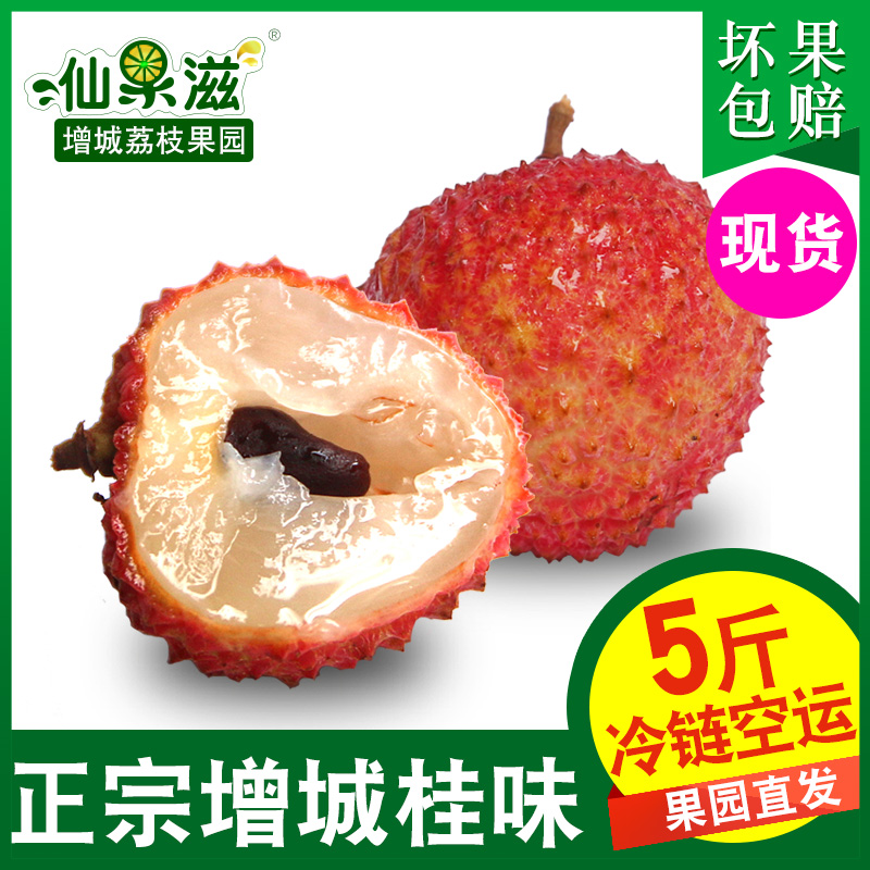 现货 增城桂味荔枝新鲜包邮特级5斤装整箱广东糯米滋10水果当季十在类目 水产肉类/新鲜蔬果/熟食, 新鲜水果, 荔枝中 - 来自Buy2taobao.com提供专业的淘宝代购服务