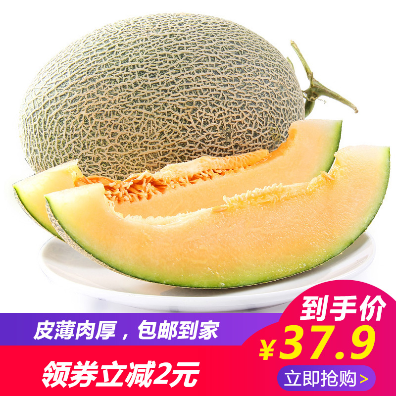 新疆特产哈密瓜水果4-5斤包邮新鲜香瓜甜瓜水果哈密瓜西州蜜瓜|msdalam kategori daging perikanan/Buah-buahan segar dan sayur-sayuran/dimasak, buah-buahan segar, Cantaloupe - dari Buy2taobao.com untuk memberikan perkhidmatan ejen Taobao profesional membeli