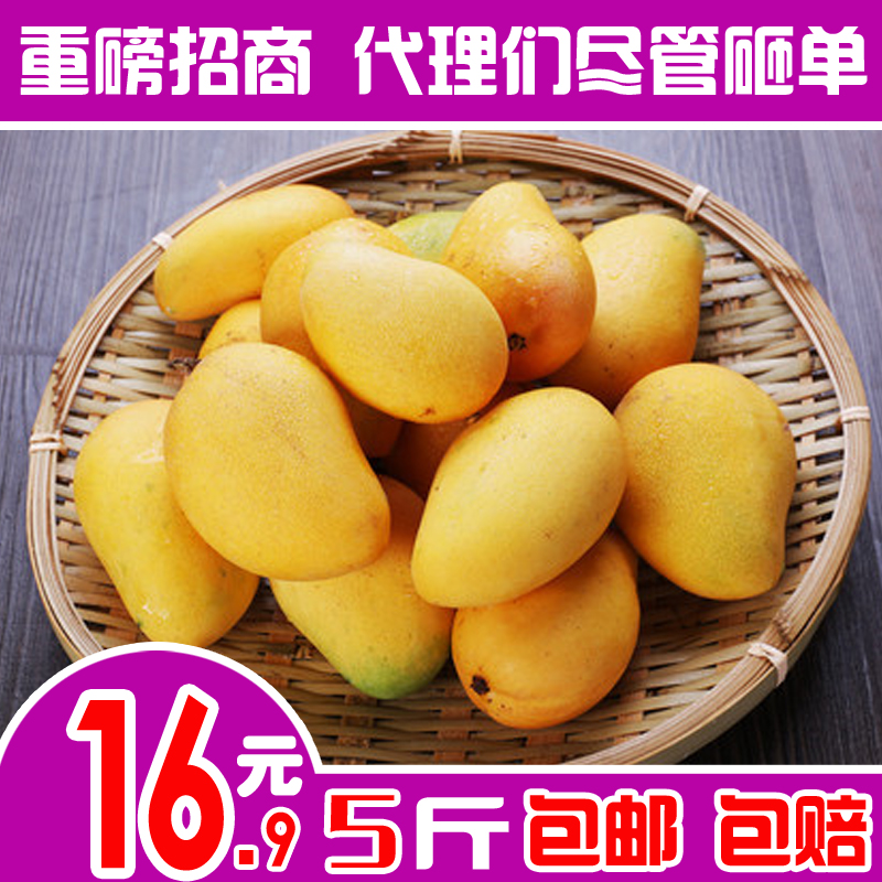 广西小台农芒果新鲜5斤带箱香甜黄色树上熟小台芒鸡蛋芒水果香芒在类目 水产肉类/新鲜蔬果/熟食, 新鲜水果, 芒果中 - 来自Buy2taobao.com提供专业的淘宝代购服务