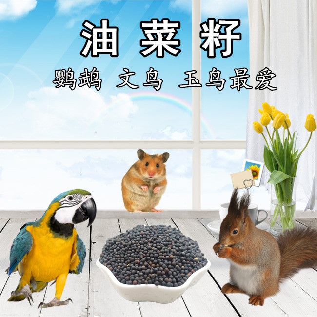 birdseed Hamster rapeseed/fresh Tiger peony Parrot Feed Hibiscus birds Jade Bird Muniain the Pet/Pet food and supplies , Birds and supplies , Bird food category - from Buy2taobao.com to provide professional Taobao agent buy service