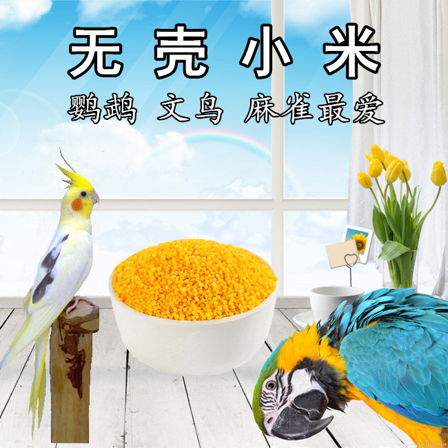 无壳小米 小米 文鸟珍珠鸟 虎皮鹦鹉鸟食鸟粮饲料 小黄米500G在类目 宠物/宠物食品及用品, 鸟类及用品, 鸟食中 - 来自Buy2taobao.com提供专业的淘宝代购服务