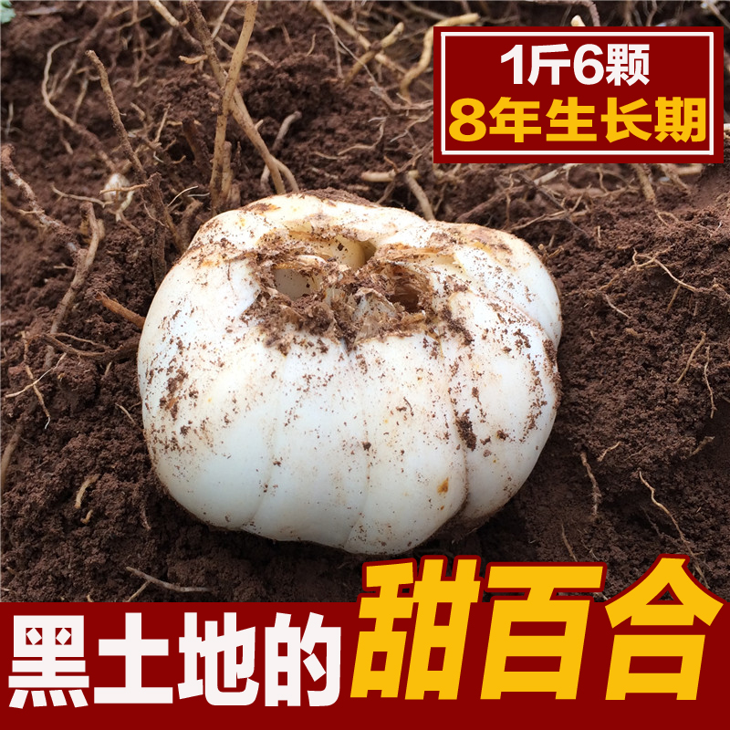 【航空包邮】新鲜百合兰州鲜百合甘肃特产农家无硫食用甜兰州百合在类目 粮油米面/南北干货/调味品, 南北干货/肉类干货, 干货/土特产, 百合干中 - 来自Buy2taobao.com提供专业的淘宝代购服务