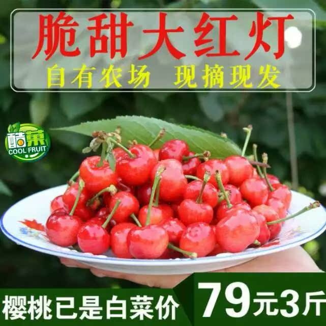 山东烟台自产大樱桃车厘子露地大红灯新鲜孕妇水果3斤特级果包邮|ruв категории водной мясо/свежие фрукты и овощи/еда, свежие фрукты, вишня/вишня - от Buy2taobao.com для оказания профессиональной услуги покупки агента Taobao