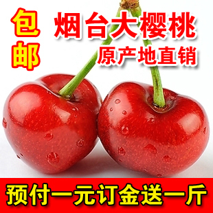  包邮 山东烟台大樱桃 车厘子 大红灯 新鲜水果 预售一元送一斤