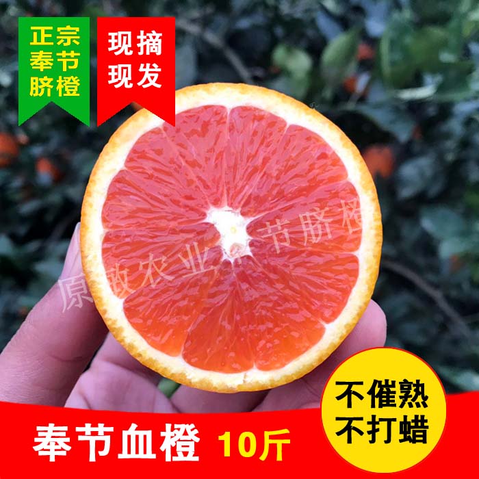 正宗重慶奉節血橙中華紅血橙紅肉臍橙兒童孕婦新鮮水果10斤禮盒裝在類目 水產肉類/新鮮蔬果/熟食, 新鮮水果, 橙中 - 來自Buy2taobao.com提供專業的淘寶代購服務