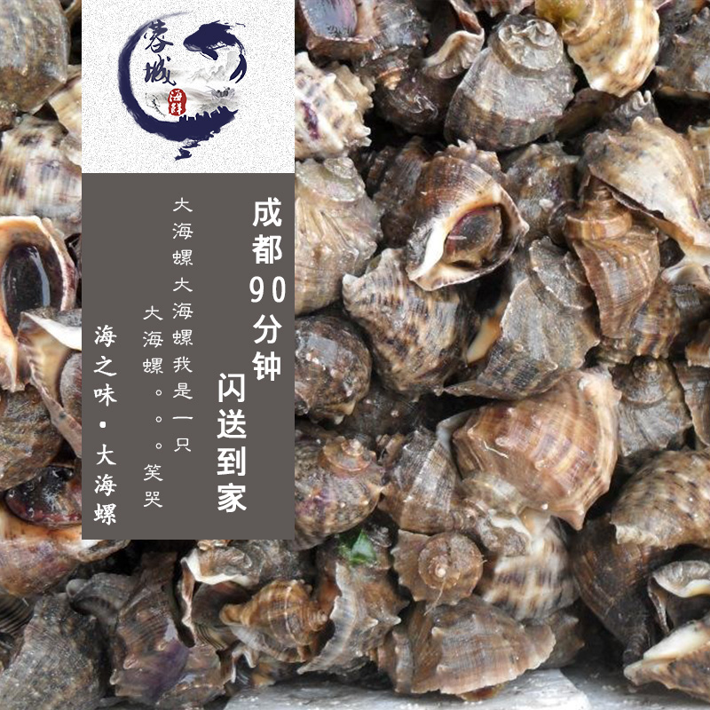 成都海鮮急送 鮮活 大海螺 壹斤2-4個 市內閃送直達 包活在類目 水產肉類/新鮮蔬果/熟食, 海鮮/水產品/製品, 貝類, 貝類製品中 - 來自Buy2taobao.com提供專業的淘寶代購服務