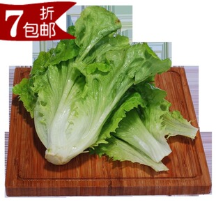  【嗨庄园】新鲜有机蔬菜有机意大利生菜200g