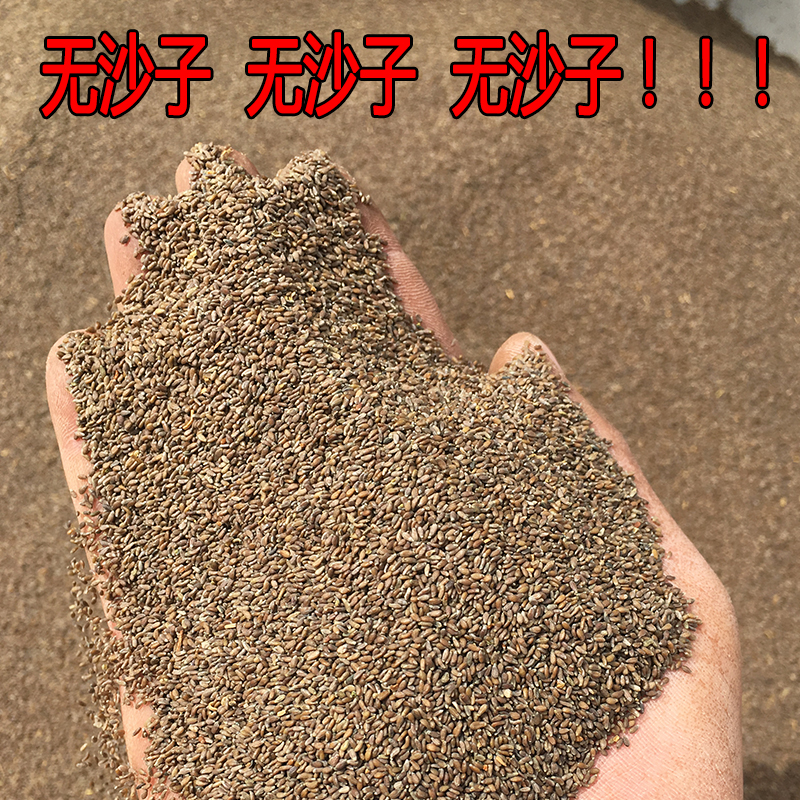 野生沙蒿籽 沙蒿子粉 沙蒿子拉面剂 散装500克一斤包邮|ruв категории зерно риса/север и Юг сухих грузов/приправы, другие продукты - от Buy2taobao.com для оказания профессиональной услуги покупки агента Taobao