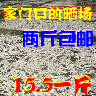  北海海味海鲜干货海燕鱼 银鱼仔 白帆鱼 野生海鱼小咸鱼干  1斤