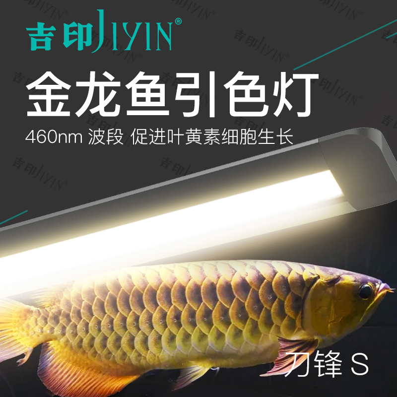 吉印金龙鱼灯引色灯专用防水照明灯鱼缸灯潜水灯支架灯管金龙灯|ruв категории животное/Животное питание и принадлежностей, аквариум мира, аквариум аквариум оборудования и т.д., осветительное оборудование - от Buy2taobao.com для оказания профессиональной услуги покупки агента Taobao