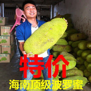  海南三亚新鲜水果菠萝蜜 马来西亚1号干苞 波罗蜜树菠萝 特价包邮
