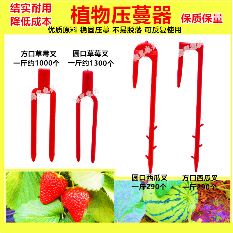 植物压蔓器草莓叉子甜瓜西瓜育苗压蔓器压苗叉藤蔓植物固定器 压在类目 鲜花速递/花卉仿真/绿植园艺, 园艺用品, 其它园艺用品中 - 来自Buy2taobao.com提供专业的淘宝代购服务