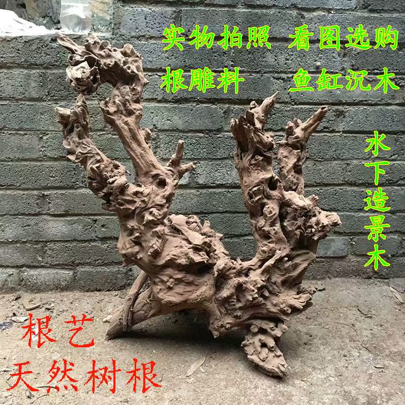 Watkins Rosewood Root Root carving natural Root fish tank Driftwood Landscaping Coral Bauhinia Wool natural Login the Home accessories , Carving , Root category - from Buy2taobao.com to provide professional Taobao agent buy service