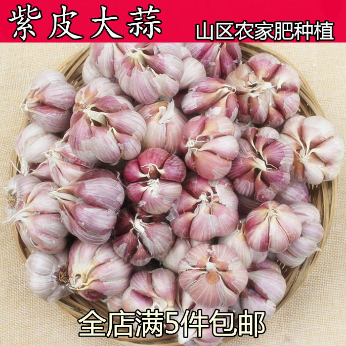 大蒜500克 满5件包邮 农家自种新鲜干紫皮大蒜头 红皮独头蒜黑蒜|msdalam kategori daging perikanan/Buah-buahan segar dan sayur-sayuran/dimasak, sayur-sayuran segar/Vegetable Products, bawang putih - dari Buy2taobao.com untuk memberikan perkhidmatan ejen Taobao profesional membeli