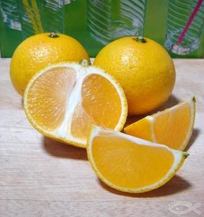  vfruit品质保证新鲜水果 武夷山桔柚 甜甜柚 超越云冠 原箱4kg装