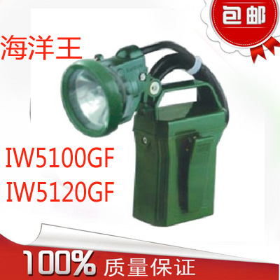 海洋王IW5100GF便携式防爆强光灯BAD303探照灯BXD6015矿灯IW5120在类目 户外/登山/野营/旅行用品, 户外照明, 手电筒中 - 来自Buy2taobao.com提供专业的淘宝代购服务