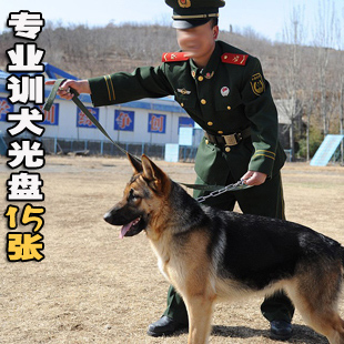 训犬教程训狗教程