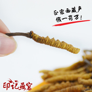  印记燕窝 正品 西藏那曲 冬虫夏草4-5条/克  年最新虫草 礼盒