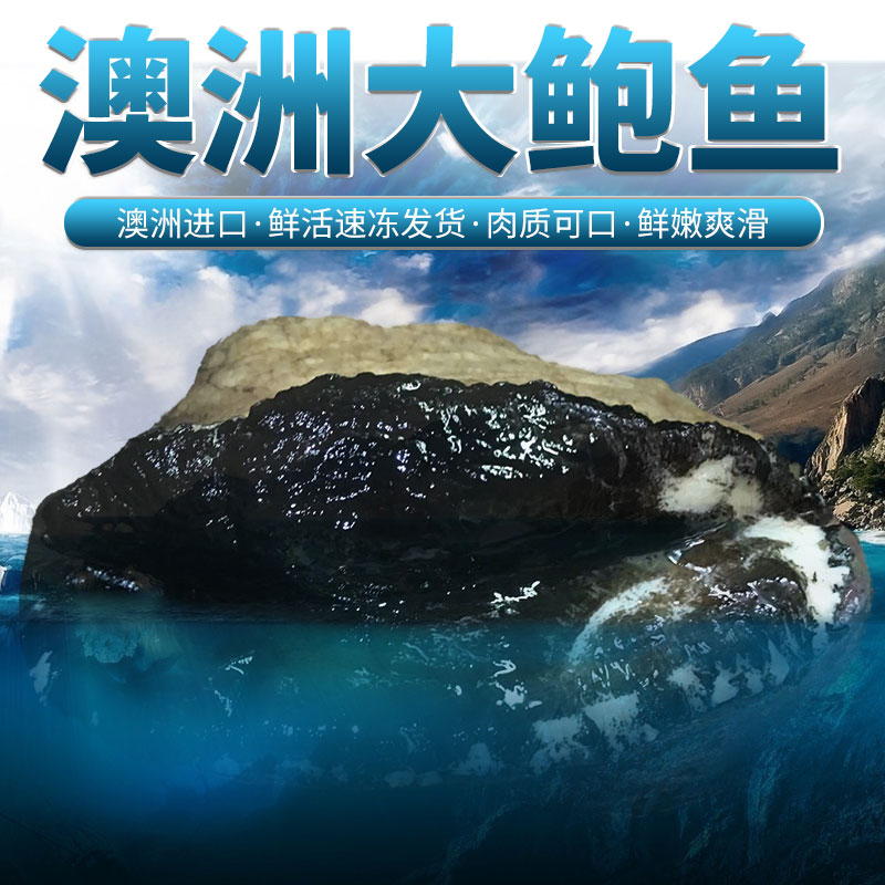 鲜活鲍鱼500g澳鲍年货大鲍鱼黑金鲍鱼生冻海鲜水产大礼包包邮上海|ms在類目 daging perikanan/Buah-buahan segar dan sayur-sayuran/dimasak, makanan laut/produk akuatik/produk, kerang, Abalone中 - 來自Buy2taobao.com提供專業的淘寶代購服務