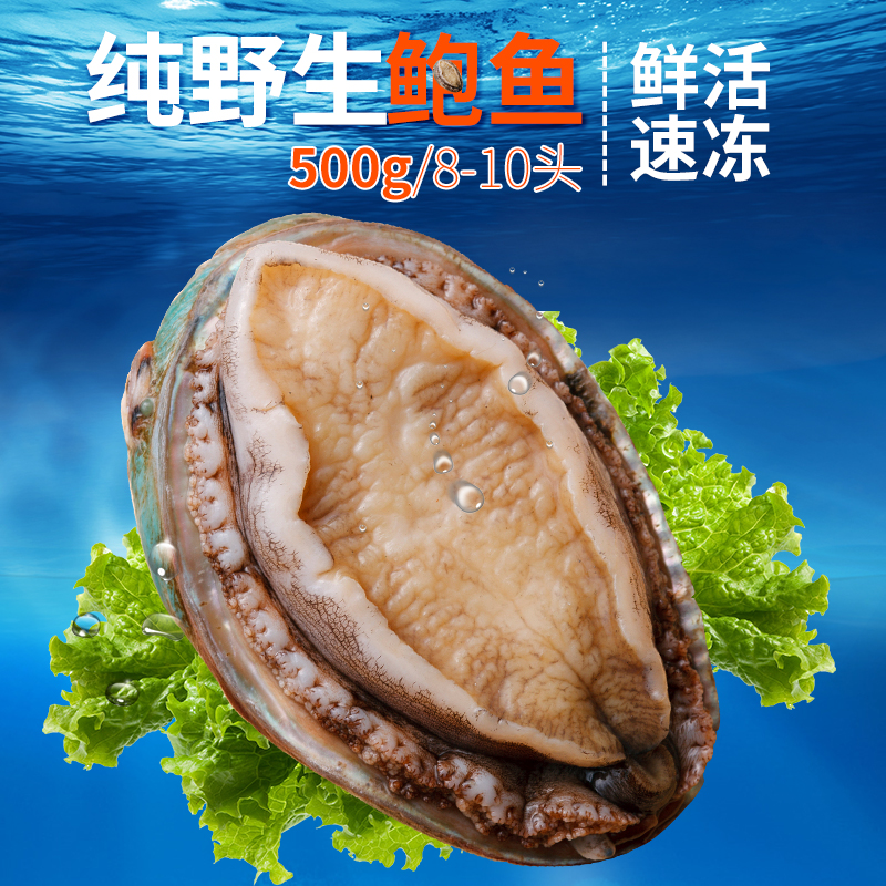 wild Dalian Abalone Fresh Freezing Shellfish Abalone Seafood Aquatic products Pretenders Ingredients 500 gram 10 headin the Aquatic meat/Fresh fruits and vegetables/Cooked , Seafood/Aquatic/Product , Shellfish , Abalone category - from Buy2taobao.com to provide professional Taobao agent buy service