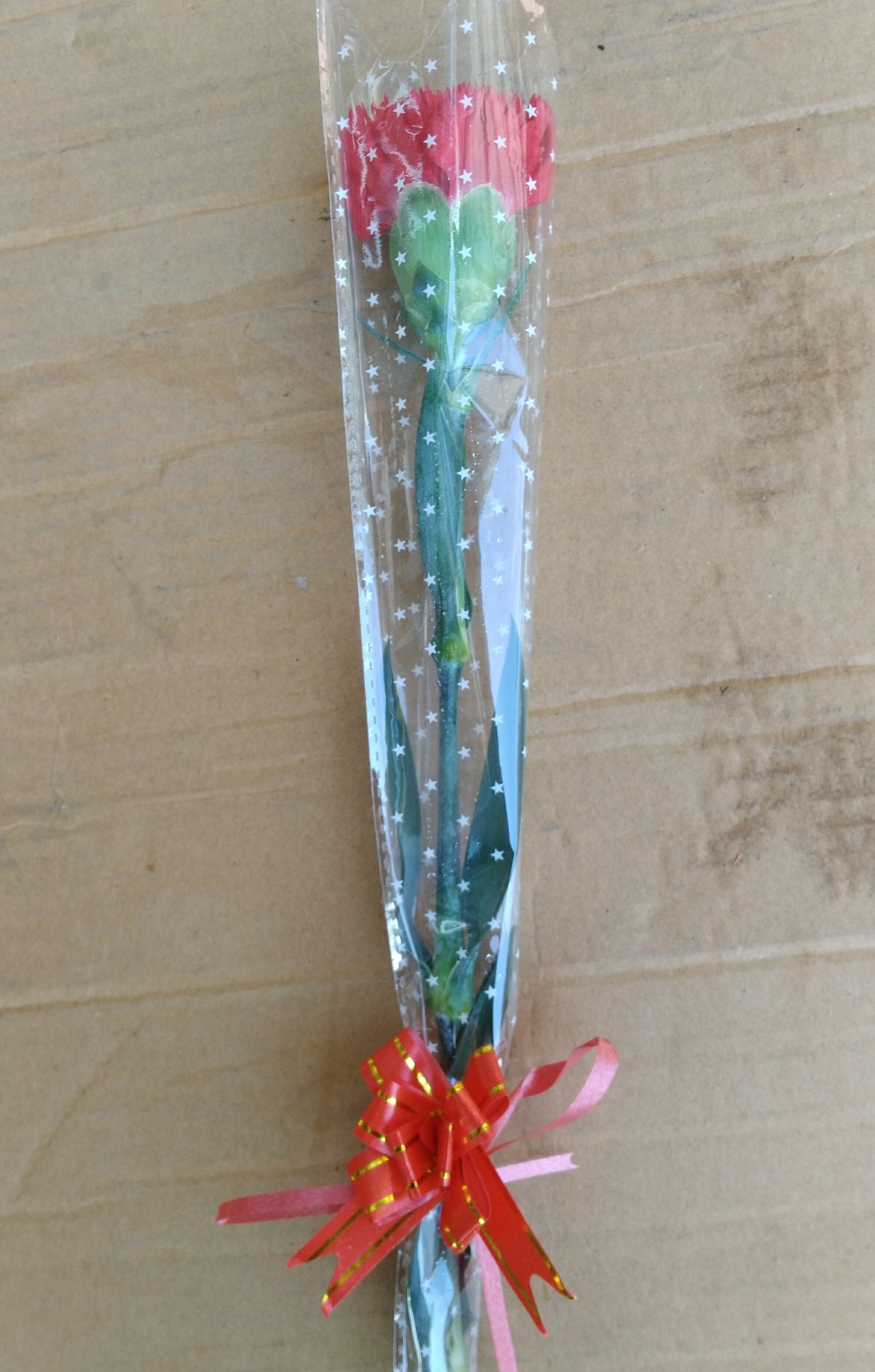 公司活动母亲节教师节康乃馨鲜花单支包装在类目 鲜花速递/花卉仿真/绿植园艺, 鲜花速递(同城)中 - 来自Buy2taobao.com提供专业的淘宝代购服务