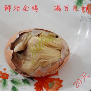  生（20天）毛蛋、活珠子、喜蛋、毛鸡蛋、鸡胚蛋、活鸡胚胎，旺蛋