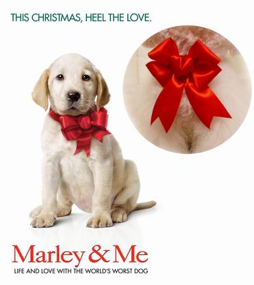 Pompon studio Marley and Me Same item gules Big Dog bow A collar for a horse Neck flower Large dogsin the Pet/Pet food and supplies , Pet apparel and accessories , Ornaments/Listing category - from Buy2taobao.com to provide professional Taobao agent buy service