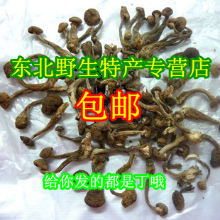  东北大兴安岭特产 纯天然 野生榛蘑菇丁 手工选 干货特价500g包邮