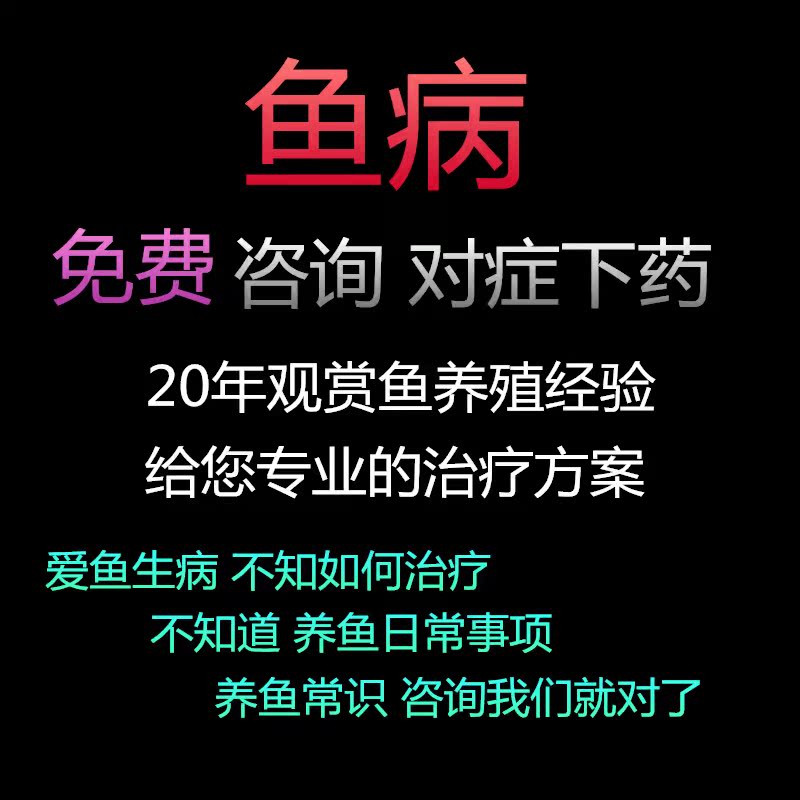 鱼病咨询治疗白点病烂麟烂腮免费观赏鱼水族医生鱼看病观赏鱼在类目 宠物/宠物食品及用品, 水族世界, 水族服务中 - 来自Buy2taobao.com提供专业的淘宝代购服务