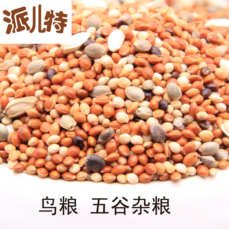 5种混合粮玄凤太平洋牡丹虎皮鹦鹉文鸟鸟食饲料500克在类目 宠物/宠物食品及用品, 鸟类及用品, 鸟食中 - 来自Buy2taobao.com提供专业的淘宝代购服务
