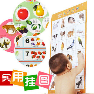 宝宝认知早教启蒙挂图 儿童纸质平面挂图玩具 幼儿看图识字1-3岁
