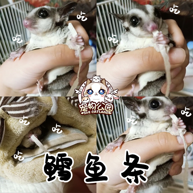 满39包邮 仓鼠金丝熊龙猫蜜袋鼯零食鳕鱼条 小宠营养品高蛋白食物在类目 宠物/宠物食品及用品, 仓鼠类及其它小宠, 饲料/零食中 - 来自Buy2taobao.com提供专业的淘宝代购服务