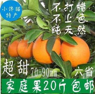  正宗赣南脐橙信丰脐橙20斤包邮 新鲜水果甜橙子安西脐橙超甜实惠