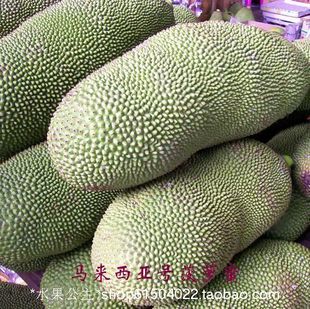  新鲜水果 马来西亚6号新鲜菠萝蜜 海南三亚产地直销 超级推荐