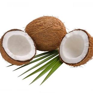  1个椰子酿酒套餐 椰子酿酒辅料 酿酒酵母 葡萄酒自酿坊