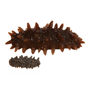  【付邮试用】唯品参 野生小海参滋补佳品海参干货无糖海参淡干