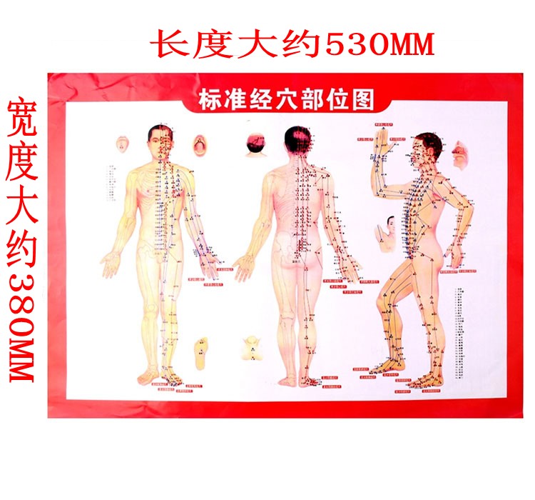 正品艾灸人体经络图挂图|穴位图|附常用病例施灸参考双面在类目 个人护理/保健/按摩器材, 各类配件, 经络保健器材配件, 温灸器配件中 - 来自Buy2taobao.com提供专业的淘宝代购服务