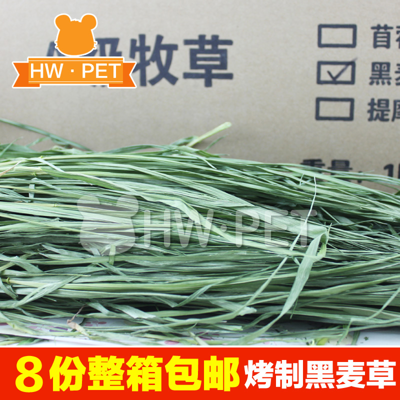 8包包邮 特级烘烤工艺无菌营养 黑麦草 250g 多叶 嫩 香 绿在类目 宠物/宠物食品及用品, 兔类及其用品, 兔兔干草中 - 来自Buy2taobao.com提供专业的淘宝代购服务
