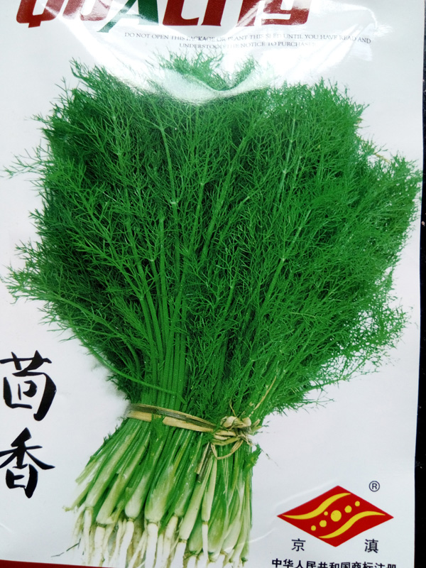 割茬茴香种子15克四季春播高产反复割香味浓阳台蔬菜盆栽满包邮|ruв категории сельскохозяйственных материалов, семена/саженцы, семян овощей - от Buy2taobao.com для оказания профессиональной услуги покупки агента Taobao