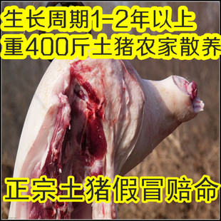  农家散养生态土黑猪土猪肉 新鲜猪肉 猪排 猪蹄 猪肚 5斤包邮