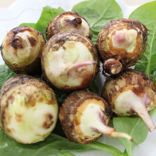  农家 绿色有机蔬菜 新鲜 芋头 芋艿子 可以种的奉化芋艿种子 包邮