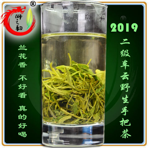 2019年上市车云山浉之韵信阳毛尖自产自销绿茶叶二级甘醇耐泡在类目 茶, 绿茶(新), 信阳毛尖中 - 来自Buy2taobao.com提供专业的淘宝代购服务