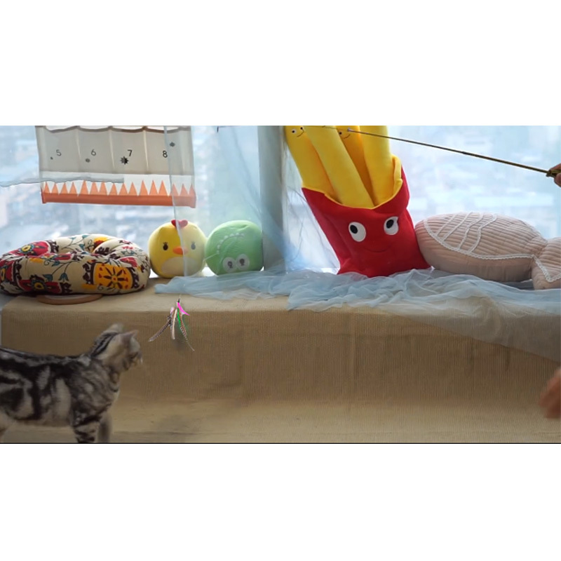 鱼竿逗猫棒三节伸缩逗猫棒替换头可配羽毛或毛毛虫加粗自动收缩在类目 宠物/宠物食品及用品, 猫/狗玩具, 逗猫棒中 - 来自Buy2taobao.com提供专业的淘宝代购服务