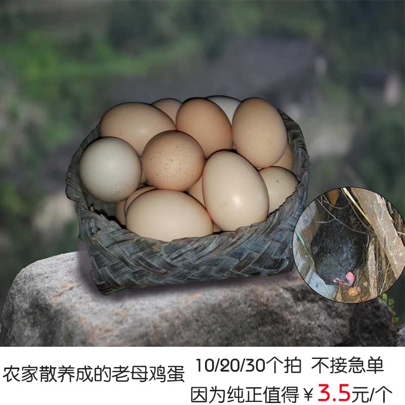 Damsel Home Farm free range eggs Orange Dehua specialty 10 A starting Jiangsu, Zhejiang and Luzhou provincesin the Aquatic meat/Fresh fruits and vegetables/Cooked , Egg/Egg Products , Fresh eggs , Eggs category - from Buy2taobao.com to provide professional Taobao agent buy service
